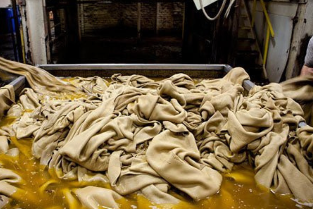 Leather Technology (TANNING)